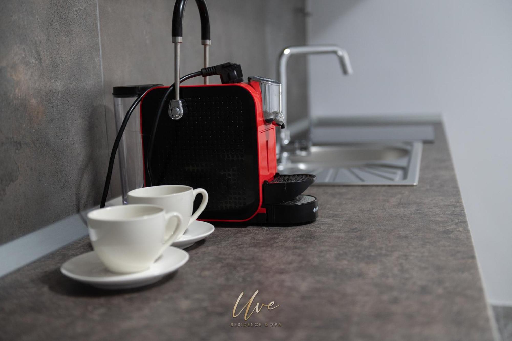 Uve Residence & Spa Piatra Neamţ エクステリア 写真